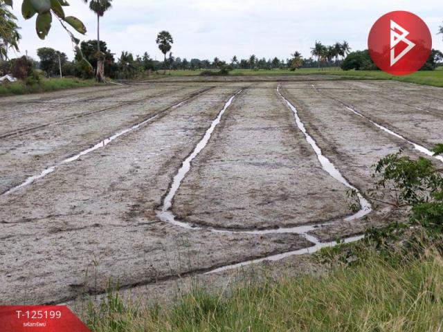 ��·��Թ �������ҧ�ͧ