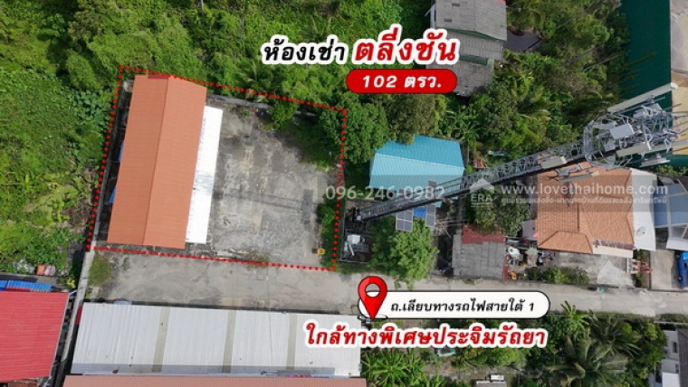 ;�����鹷�