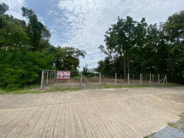 ���Թ ��ͧ3