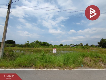 ��û�� �� The Best Property Agent