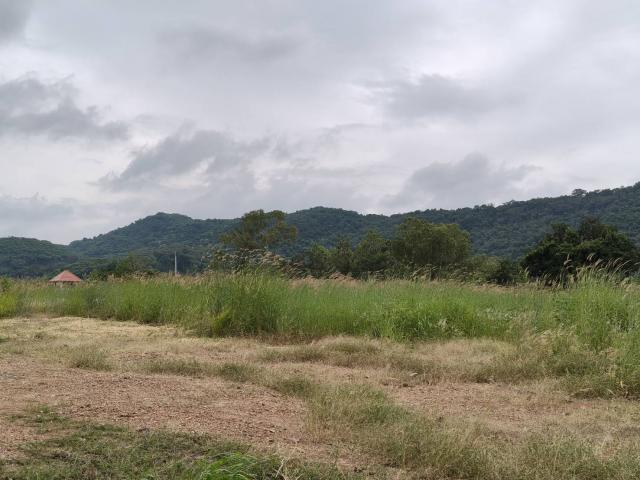 ���Թ Lotus 8 ���