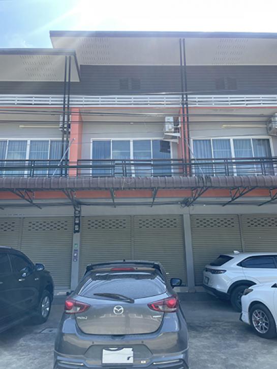 �Ҥ�þҳԪ�� ��§���