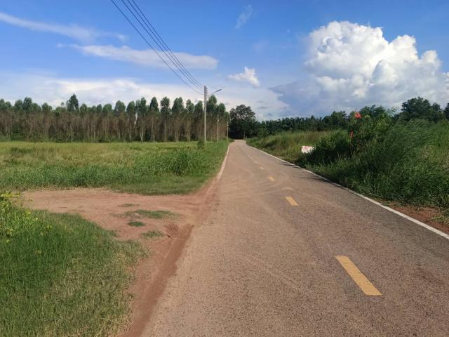 ขายที่ดิน 550,000 บาท ขายที่ดิน 550,000 บาท