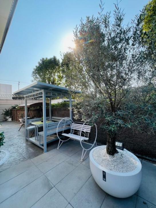 ��º�ҹ �ҧ�����طû�ҡ��