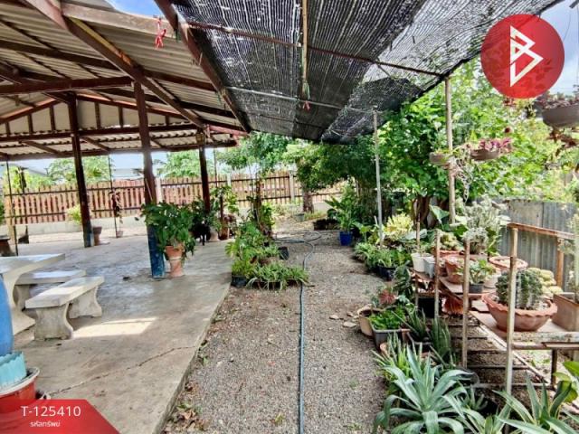 ��º�ҹ �Ҥ�չ�����ä�