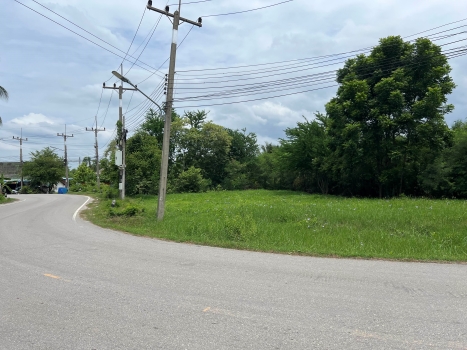 ขายที่ดิน 2,600,000 บาท ขายที่ดิน 2,600,000 บาท