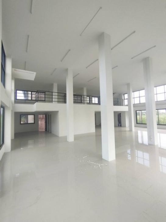 �Ҥ�þҳԪ�������� 45,000 �ҷ�����͹