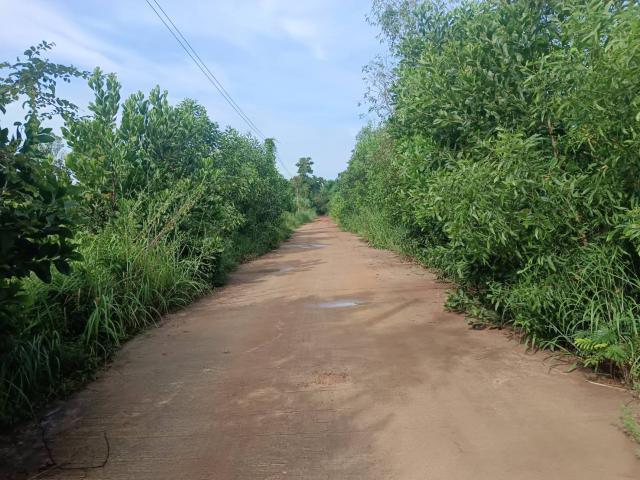 ที่ดิน 19 ไร่ ที่ดิน 19 ไร่