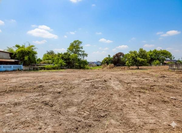 ���Թ�ҧ���ا �ź���