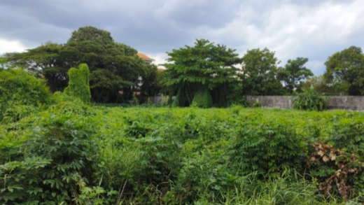 ��·��Թ �ҧ�͹