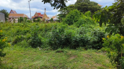 ��·��Թ �ҧ�͹