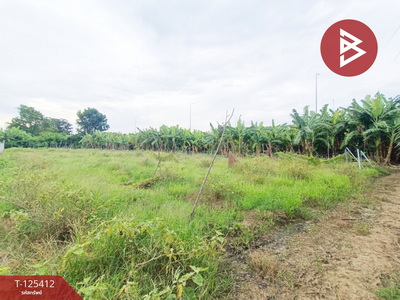 ��û�� �� The Best Property Agent