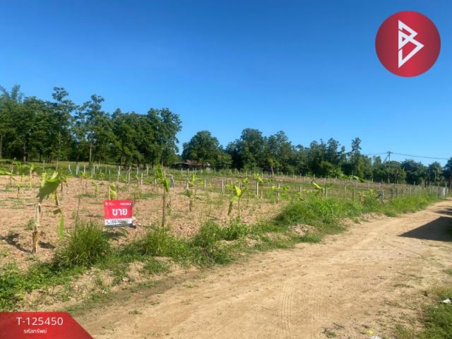 ���ͧ �� The Best Property Agent