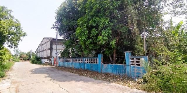 ��º�ҹ �оҹ�Թ�ԨԵ�