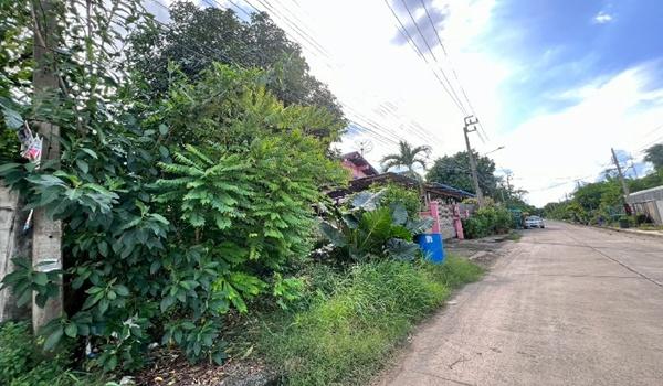 ��·��Թ �ҧ�