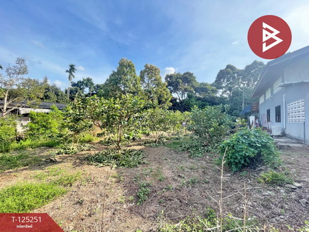 ���ͧ �� The Best Property Agent