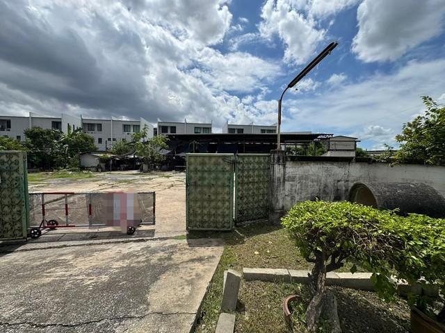 ���Թ ����������