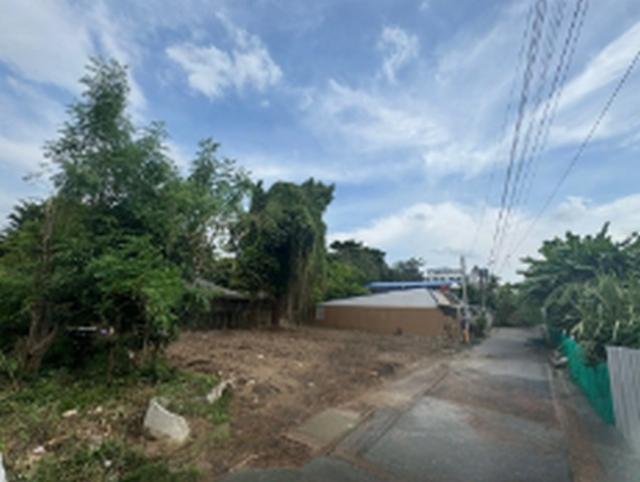 ���Թ������ ���¢�ҧ��ا෾