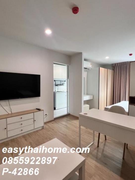 �͹���ͧʵٴ��� ������