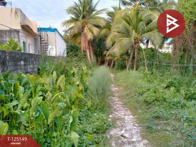 ��·��Թ �ҧ�