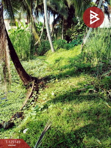 ��·��Թ �ҧ�