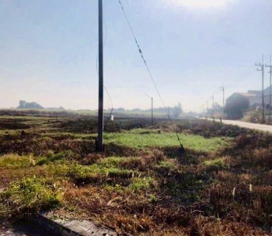 ¢Ò·Õè´Ô¹ 31.5 äÃè ¢Ò·Õè´Ô¹ 31.5 äÃè