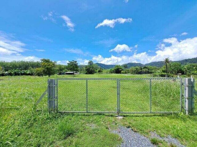 ��·��Թ ��ҧ ����