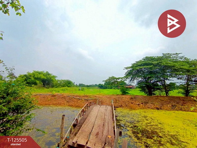 ��û�� �� The Best Property Agent