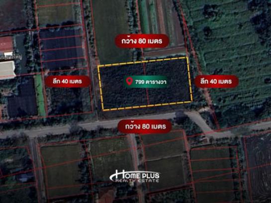 ���Թ �����