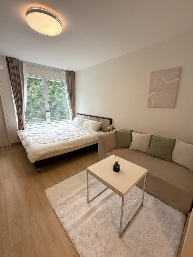 ���¢�ҧ �� ���ء