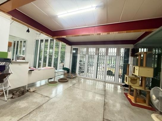 ����Ҥ�þҳԪ�� ���Ե��ا෾