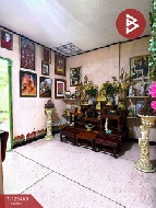 ��ǹ������� �ҧ�ع��¹