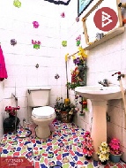 ��ǹ������� 29.10 ���ҧ��