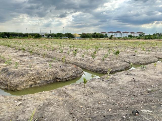 ที่ดิน 19 ไร่ ที่ดิน 19 ไร่