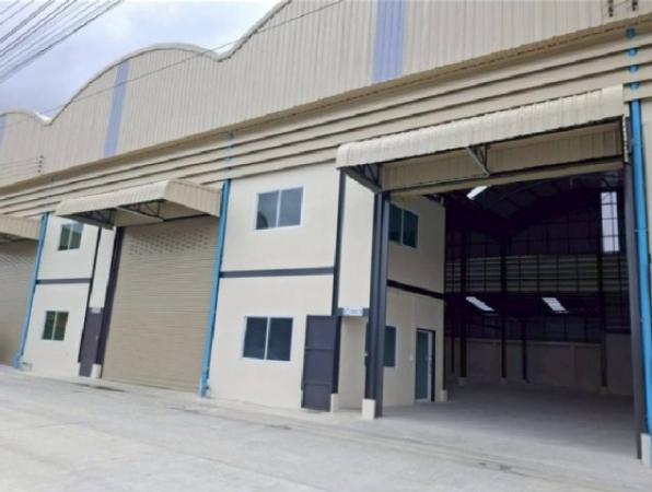 ⡴ѧ��з���ẹ ��ط��Ҥ�