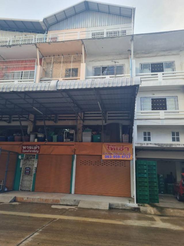 �Ҥ�þҳԪ�������� 15,000 �ҷ�����͹