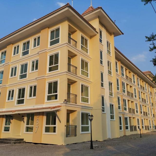 �͹� �������