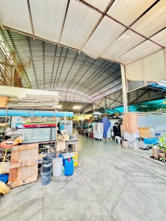 ��·��Թ ������