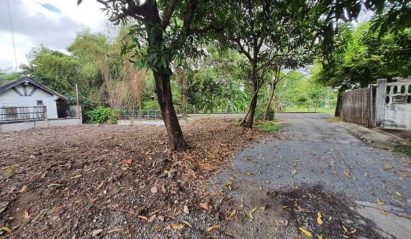 ��·��Թ �ҧ���͡�ا෾