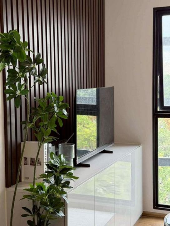 �͹������� ���ͧ��§������§����