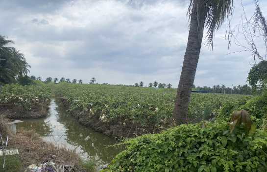 ��¹�û�� �� Asset X Property