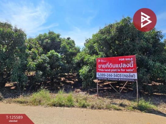 �ѹ����� �� The Best Property Agent