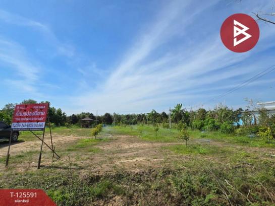 ���Թ ���ǹ �����¹