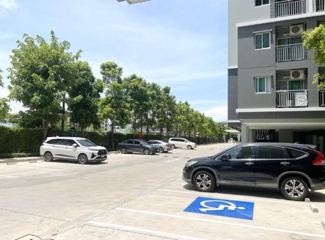 ��¤͹� �ҧ�͹