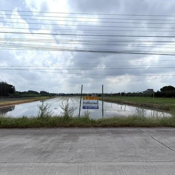 ที่ดิน ติดถนนคอนกรีต นนทบุรี ที่ดิน ติดถนนคอนกรีต นนทบุรี
