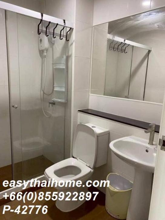 �͹�����ͧ�ѡ��� �ҧ����