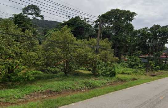 ��·��Թ ��Ъ�ҧ ��Ҵ