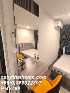 �͹� ������