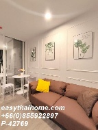 ������ �͹� ������