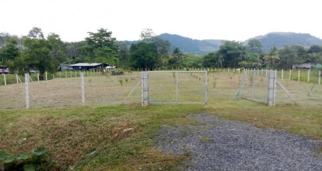 ��·��Թ ��ҧ ����